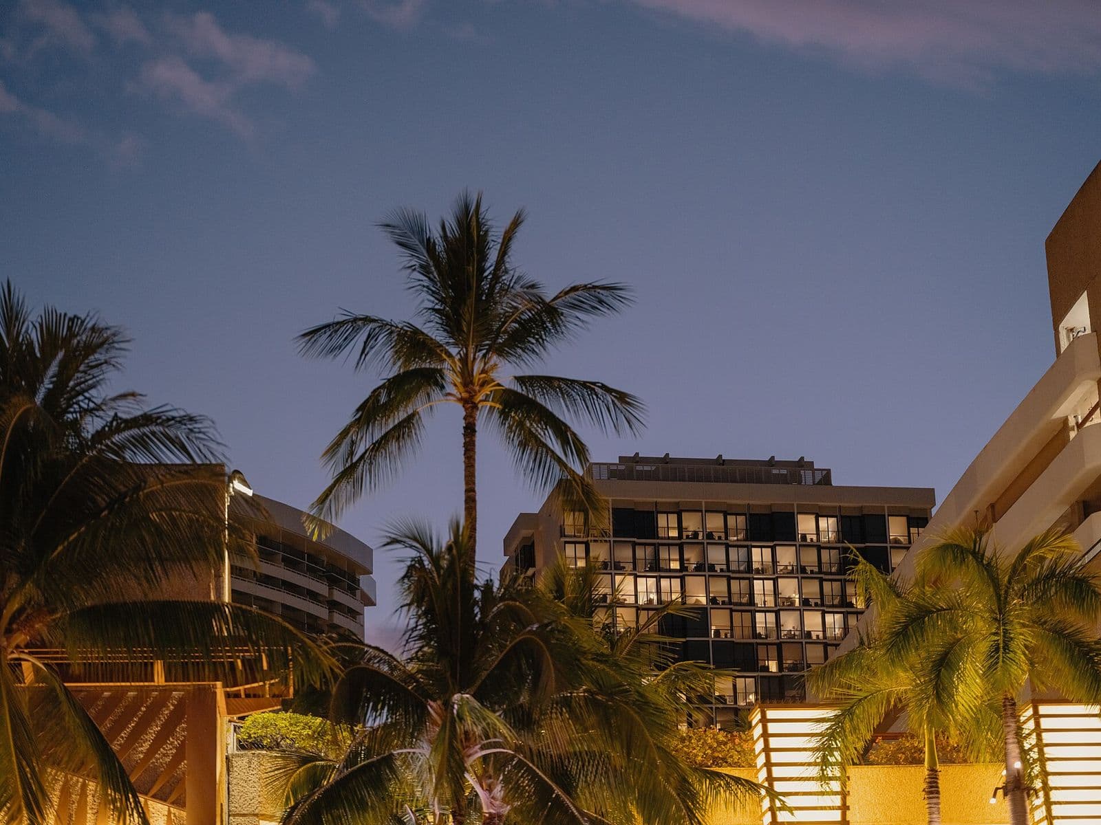 Hôtels et palmiers de la plage de Waikiki, à la tombée de la nuit